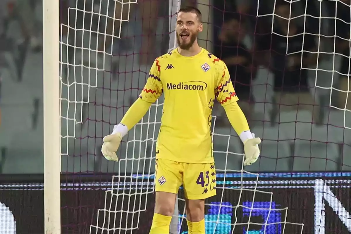 Fiorentina soccer goalkeeper in a yellow uniform standing in front of the goal during a match Fiorentina soccer goalkeeper in a yellow uniform standing in front of the goal during a match