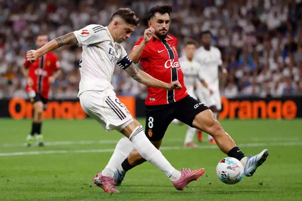 Two players compete for the ball during a match in a stadium full of spectators. Two players compete for the ball during a match in a stadium full of spectators.