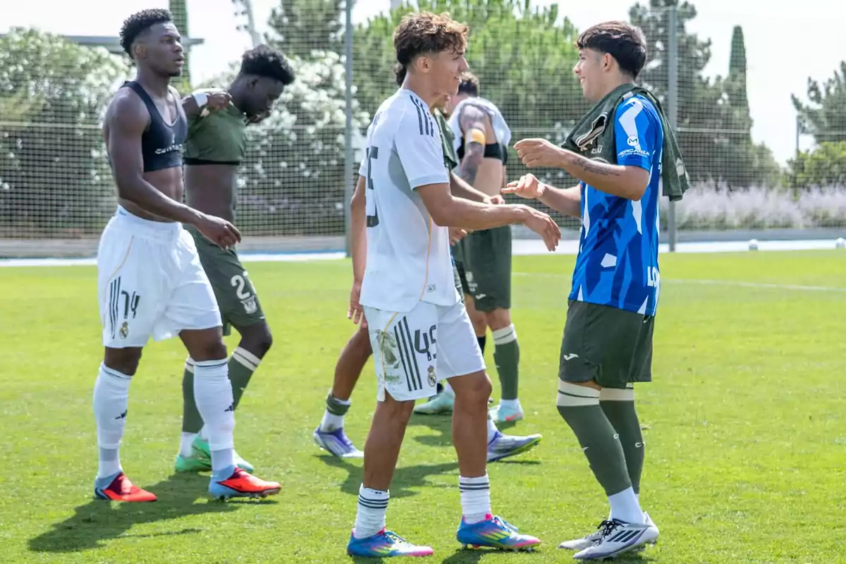 Soccer players talk and greet each other on the field after finishing a friendly match on a sunny day. Soccer players talk and greet each other on the field after finishing a friendly match on a sunny day.