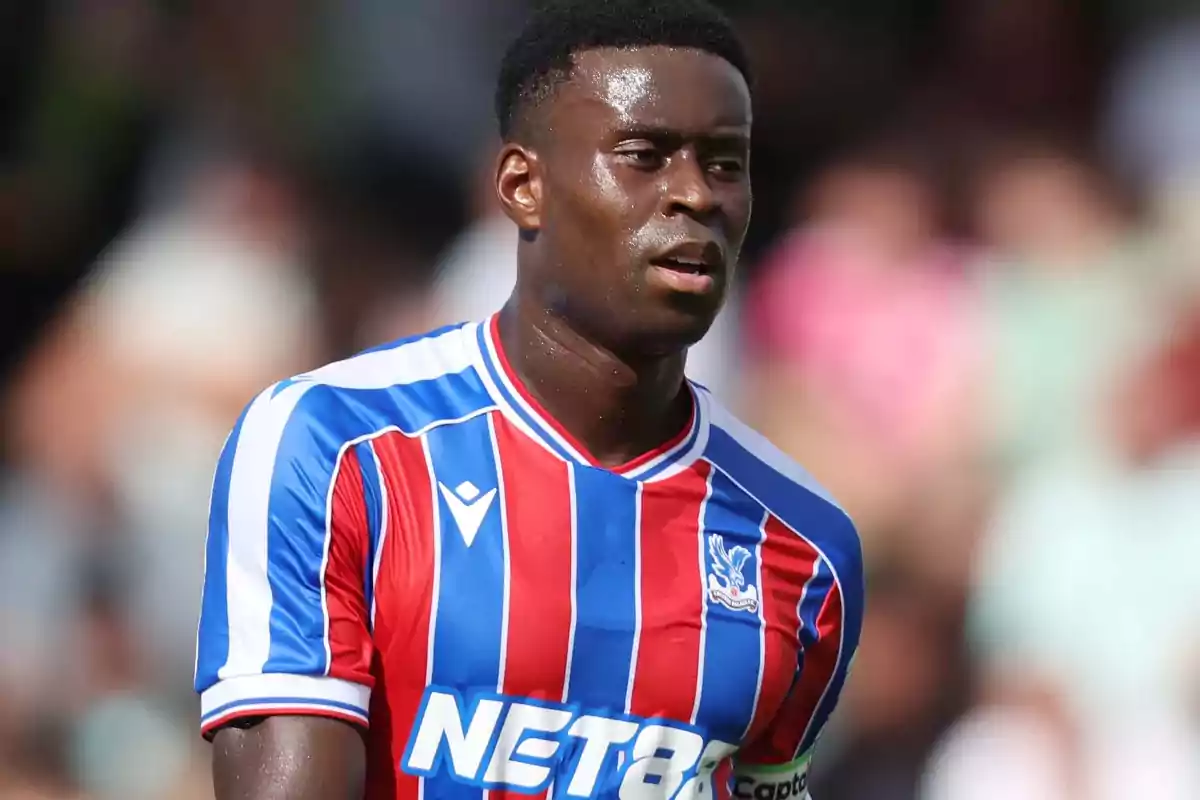 Soccer player wearing a red and blue striped Crystal Palace jersey during a match Soccer player wearing a red and blue striped Crystal Palace jersey during a match