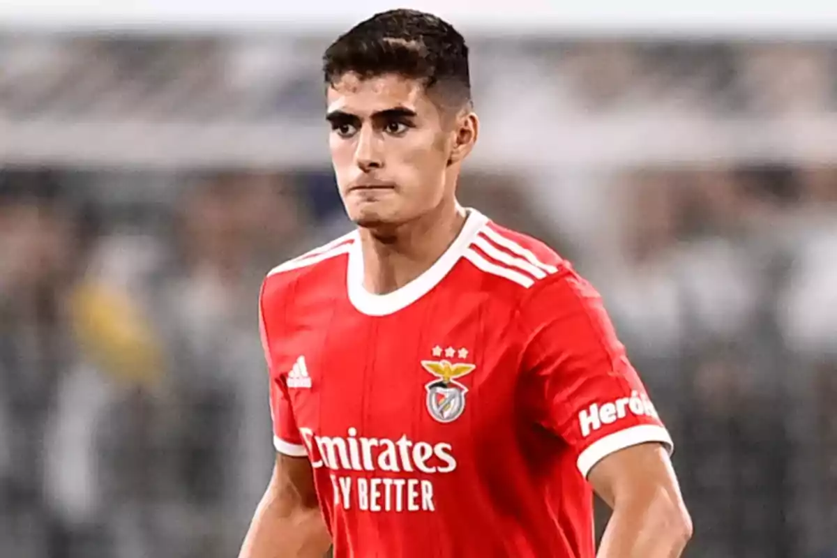Football player in a red Benfica jersey on the playing field. Football player in a red Benfica jersey on the playing field.