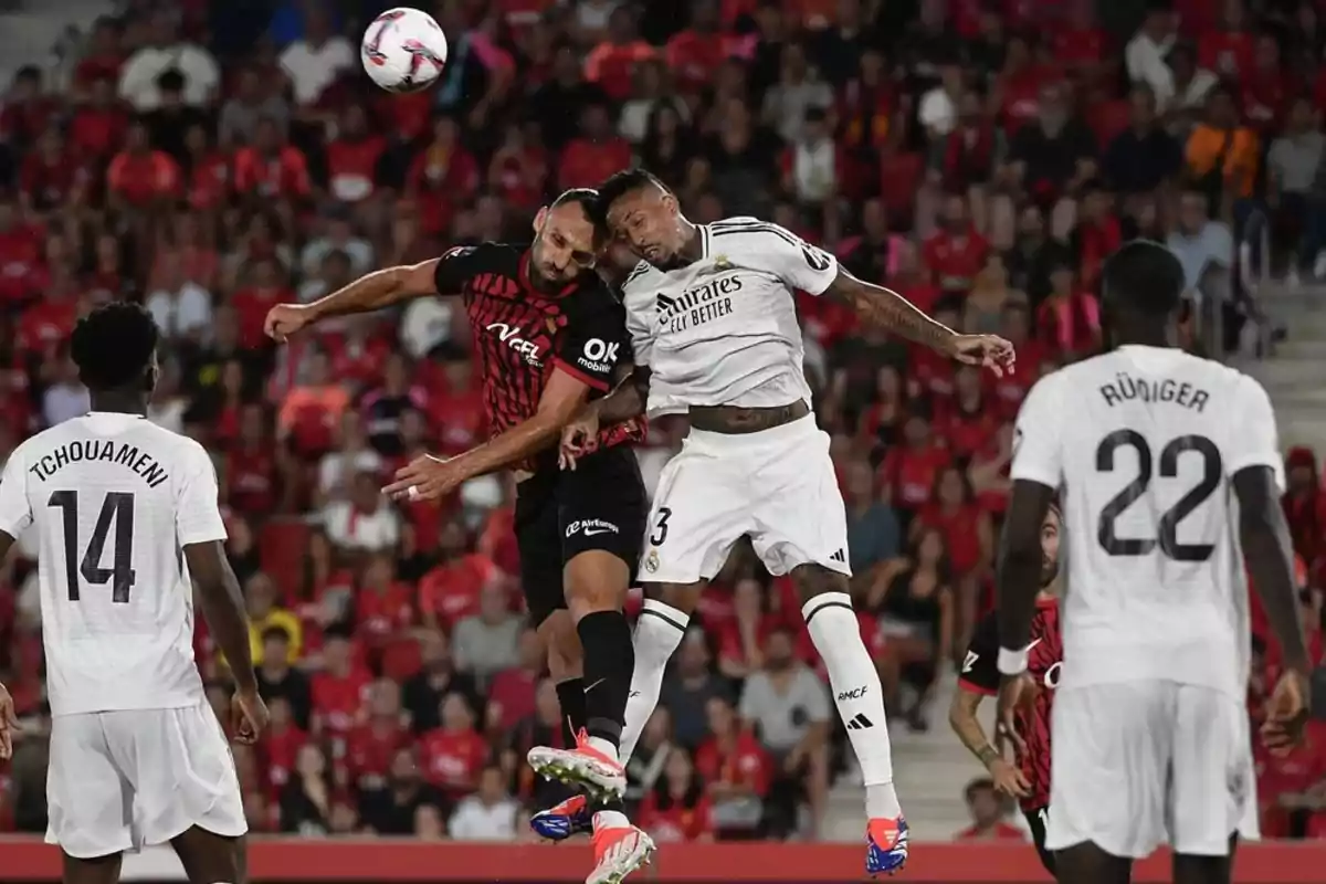 Soccer players compete for an aerial ball during a match, with spectators in the background. Soccer players compete for an aerial ball during a match, with spectators in the background.