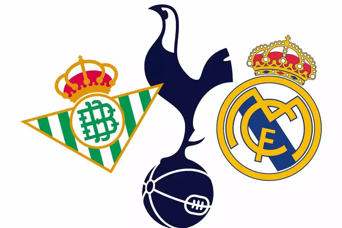 Logos de tres equipos de fútbol: uno con un escudo triangular verde y blanco, otro con un gallo azul y un balón, y el tercero con un círculo azul y amarillo.