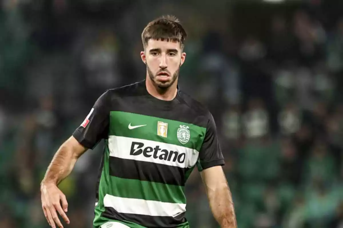 Soccer player in green and black uniform on the playing field. Soccer player in green and black uniform on the playing field.
