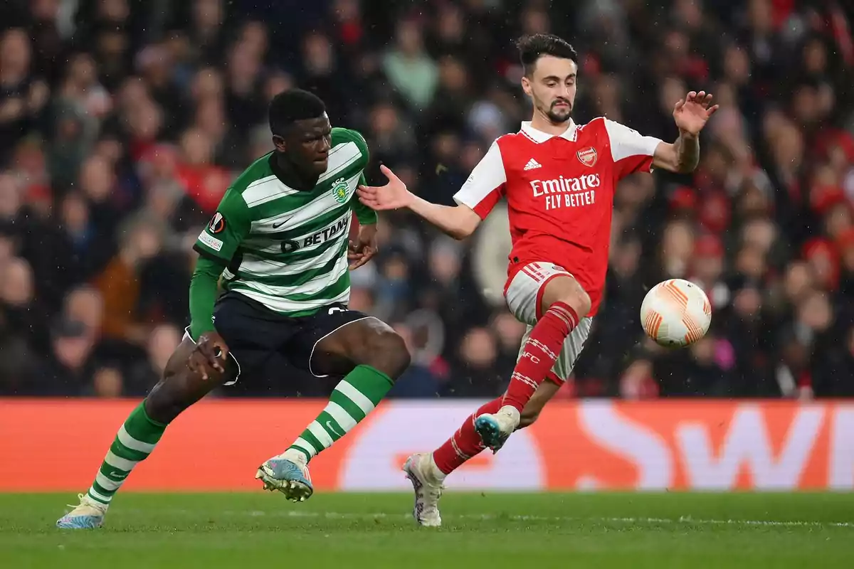 Two soccer players compete for the ball in a game. Two soccer players compete for the ball in a game.